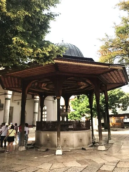 街道边的椅子上
中度可信度描述已自动生成